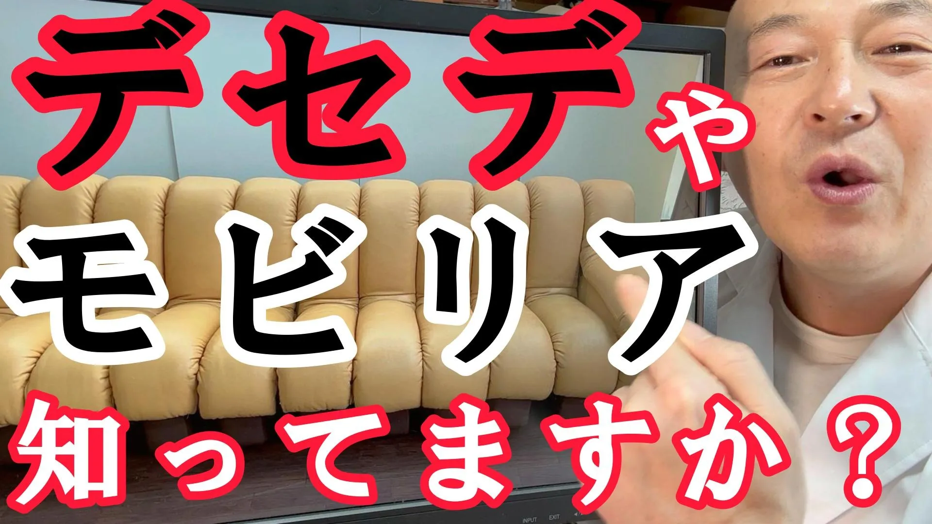 デセデ＆モビリア＆FSM社　革ソファ修理事例