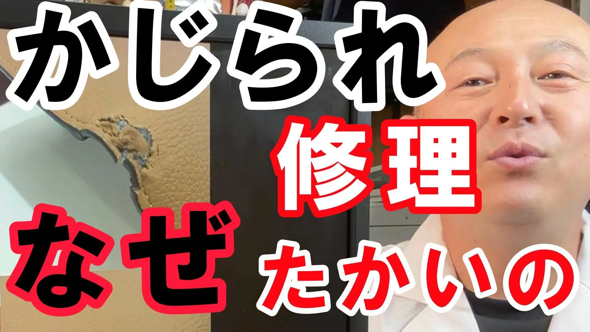 【財布＆ソファ修理】かじられリペアが高い理由を解説