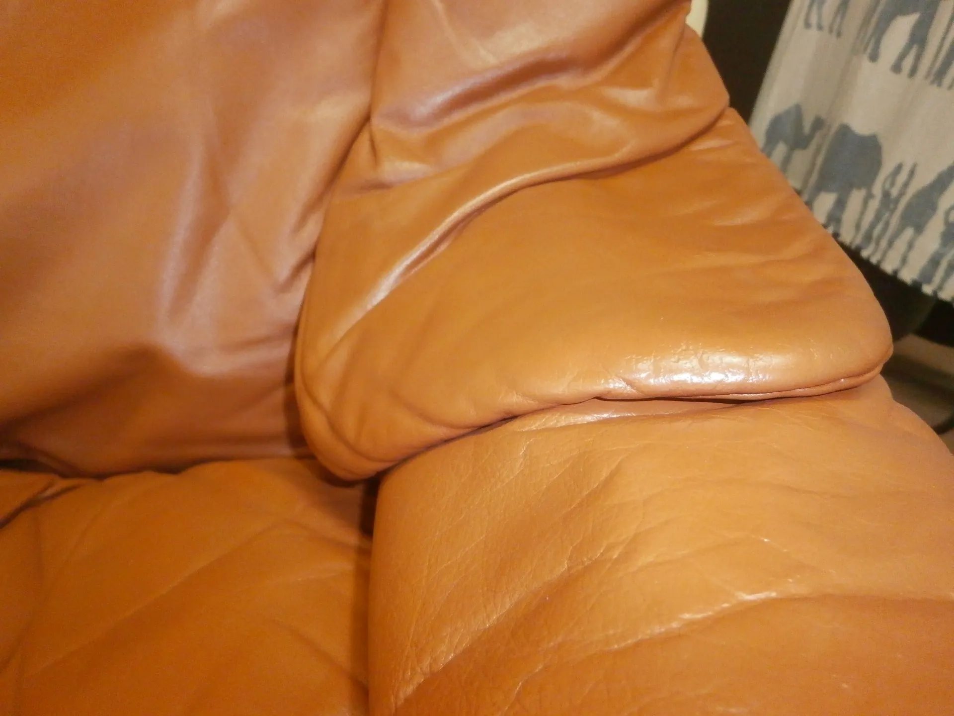 エコーネス革面修理修復後